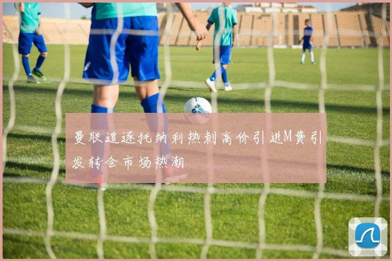 曼联追逐托纳利热刺高价引进M费引发转会市场热潮